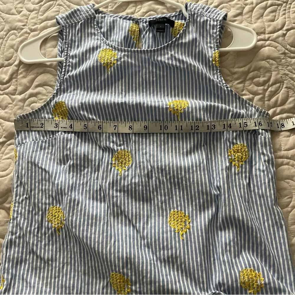 J. Crew crew pineapple